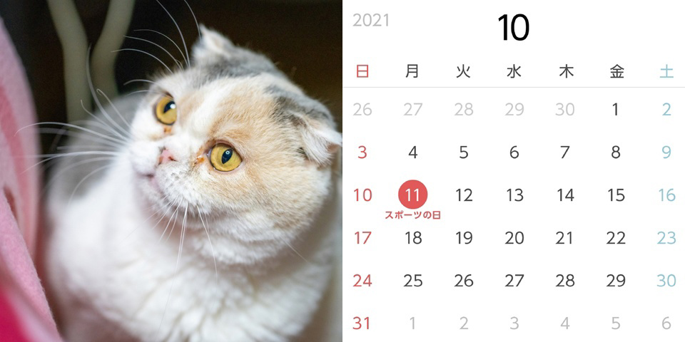 フォトブック 22ページ目