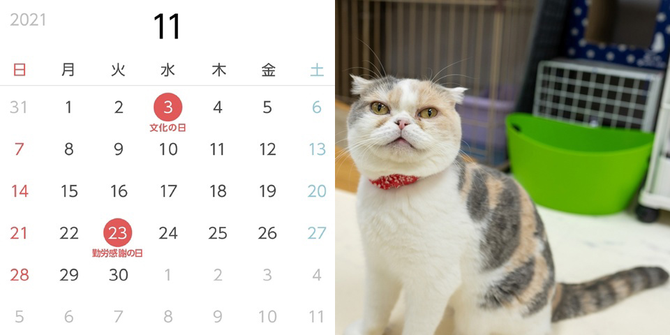 フォトブック 24ページ目