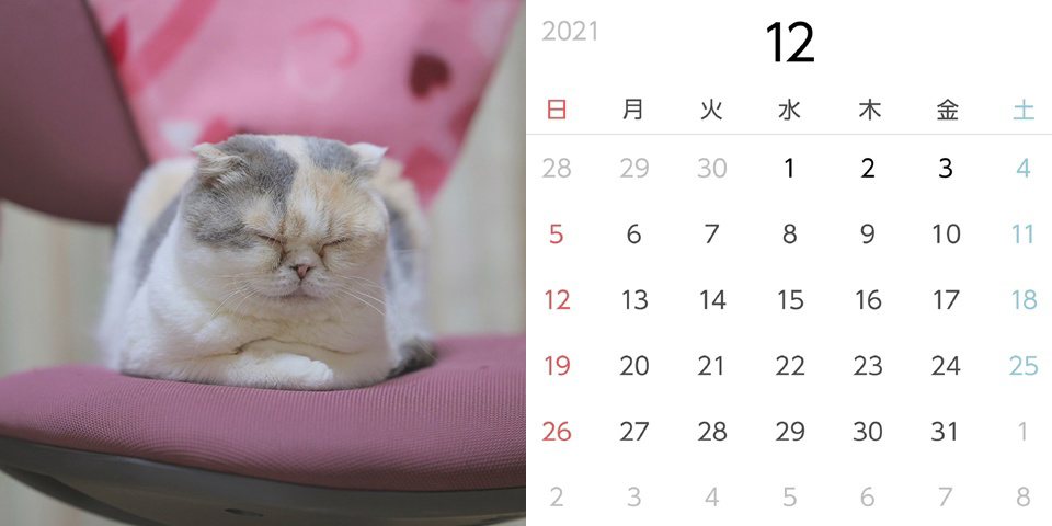 フォトブック 26ページ目