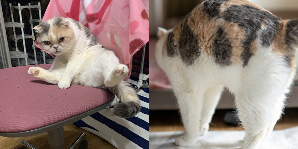 フォトブック 32ページ目