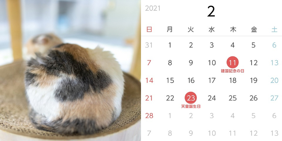 フォトブック 6ページ目