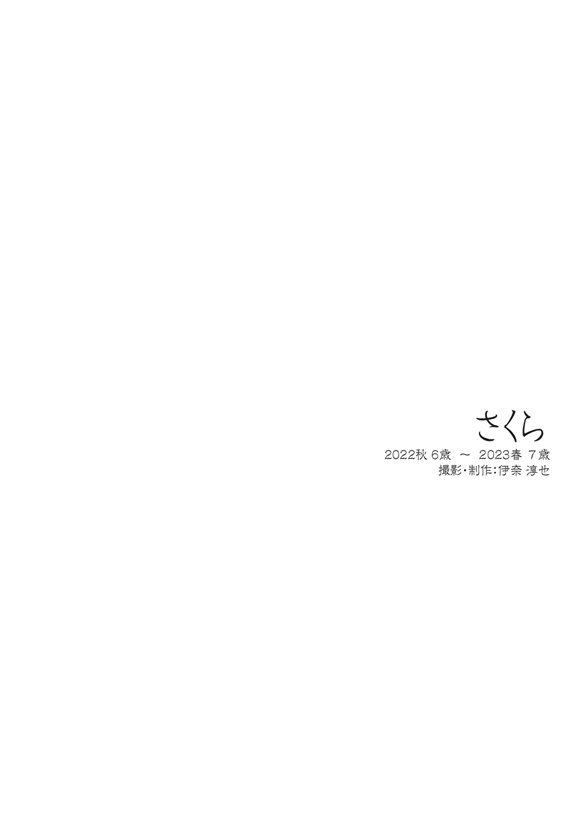 フォトブック 扉