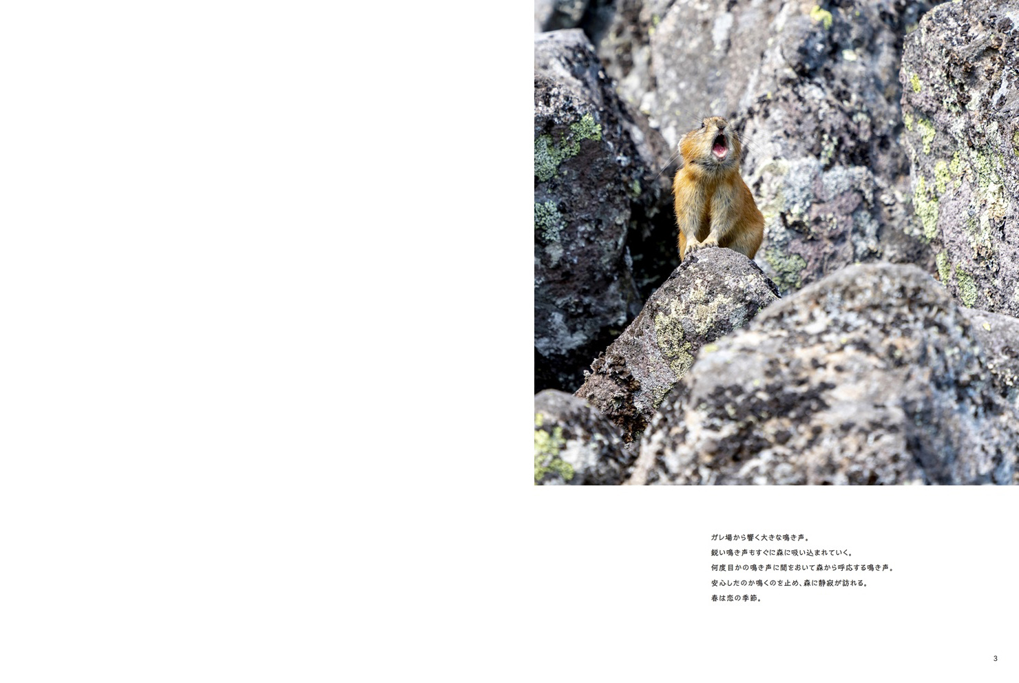 フォトブック 2ページ目
