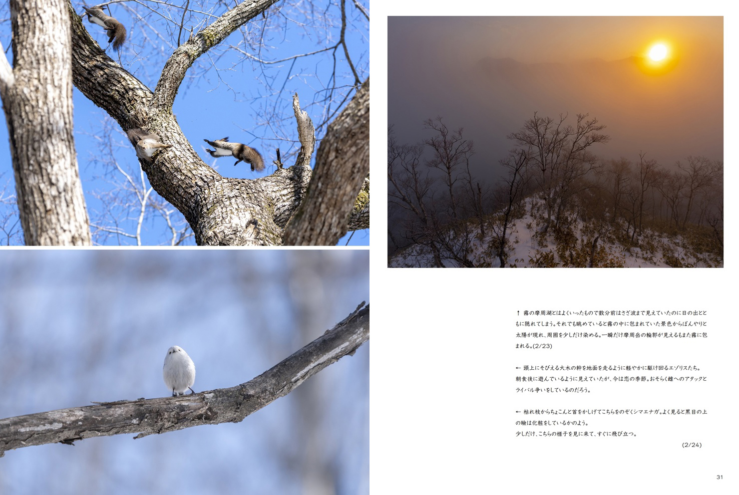 フォトブック 30ページ目