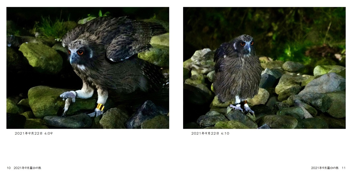 フォトブック 10ページ目
