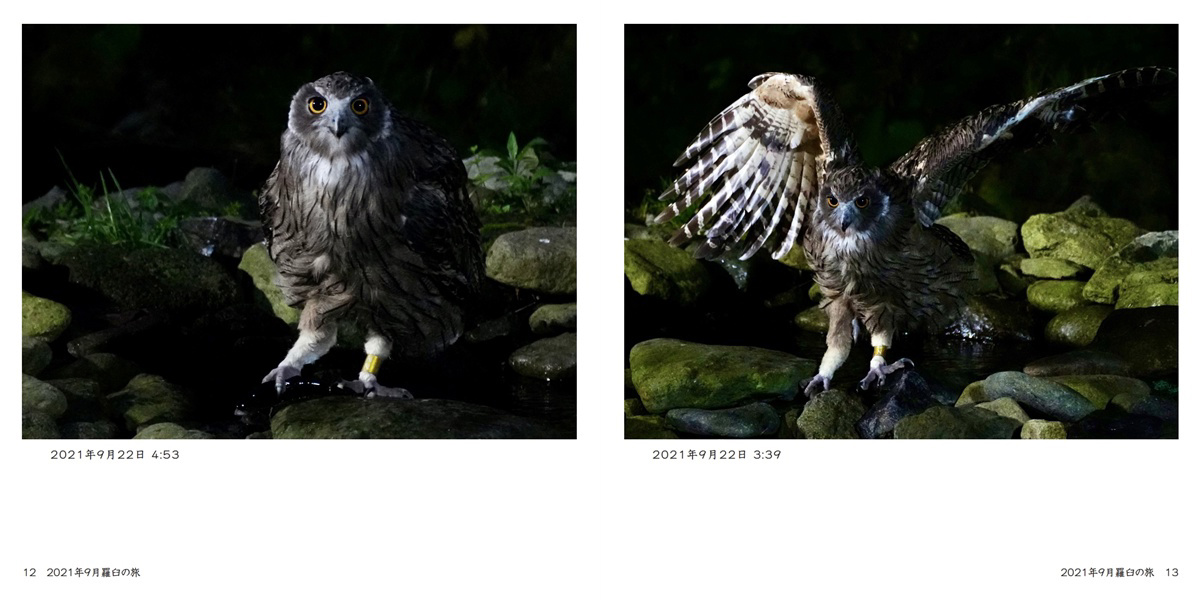 フォトブック 12ページ目