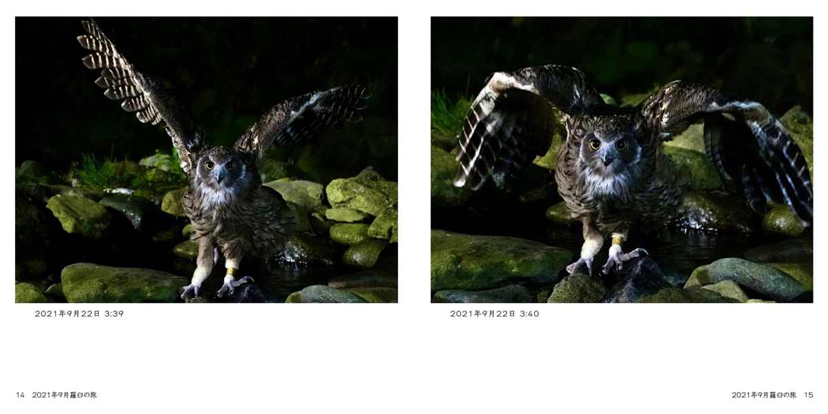 フォトブック 14ページ目