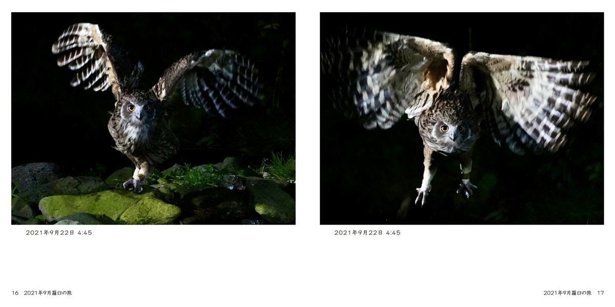 フォトブック 16ページ目