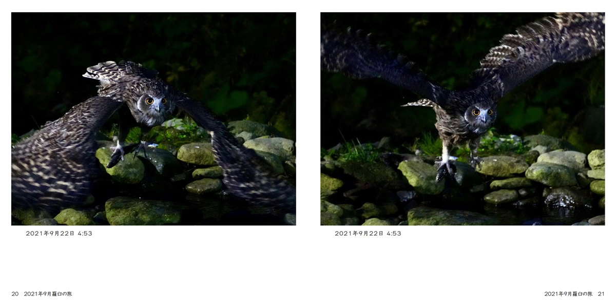 フォトブック 20ページ目