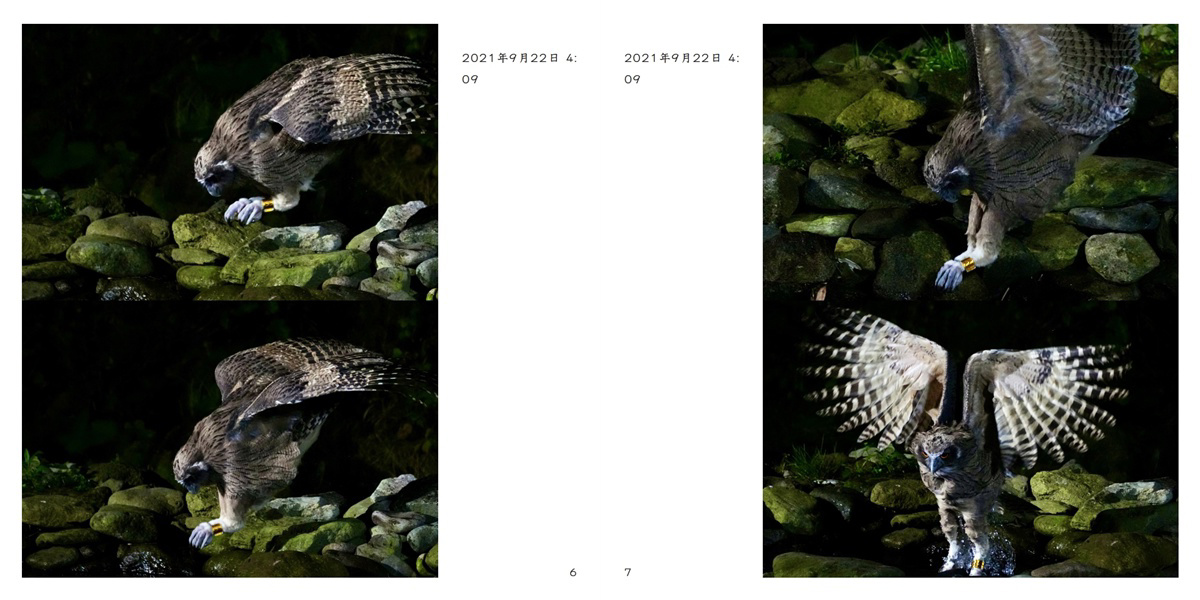 フォトブック 6ページ目