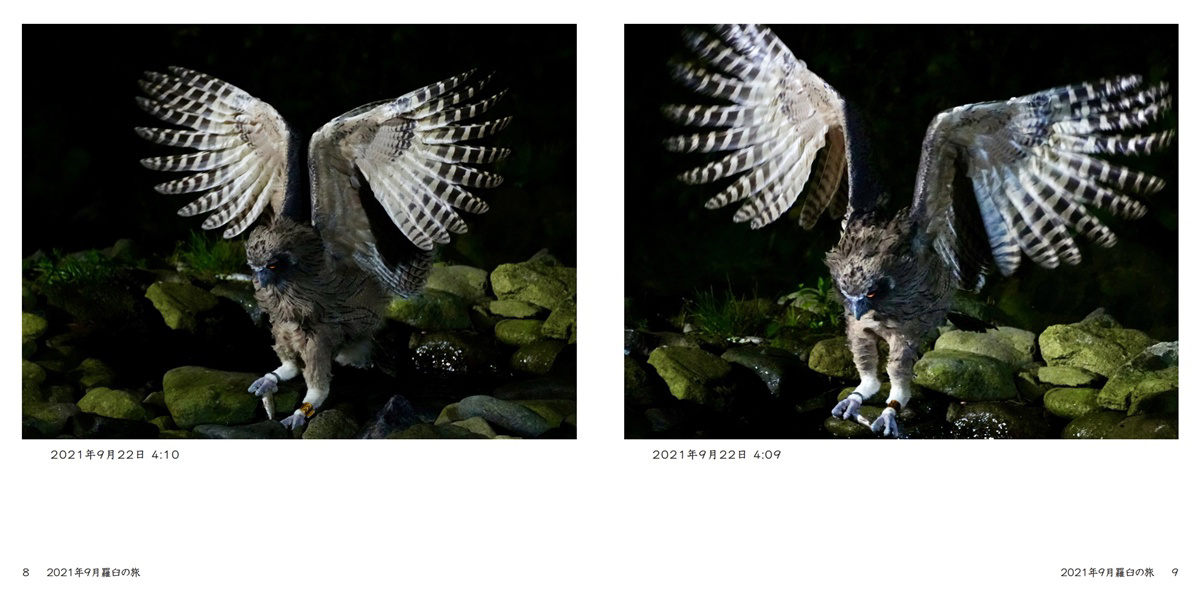フォトブック 8ページ目