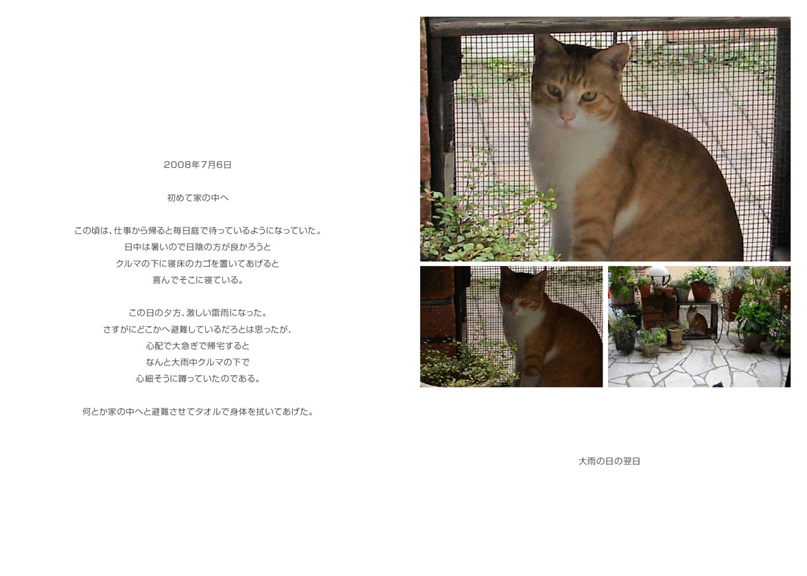 フォトブック 54ページ目