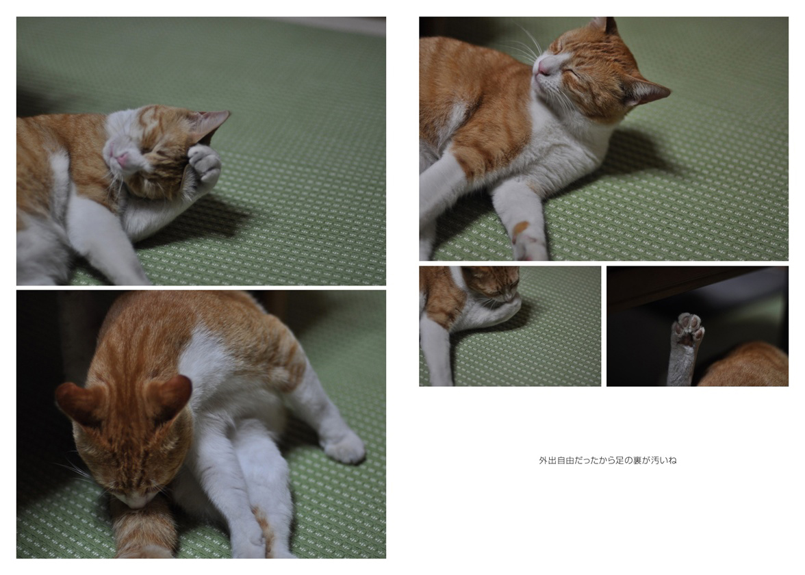 フォトブック 68ページ目