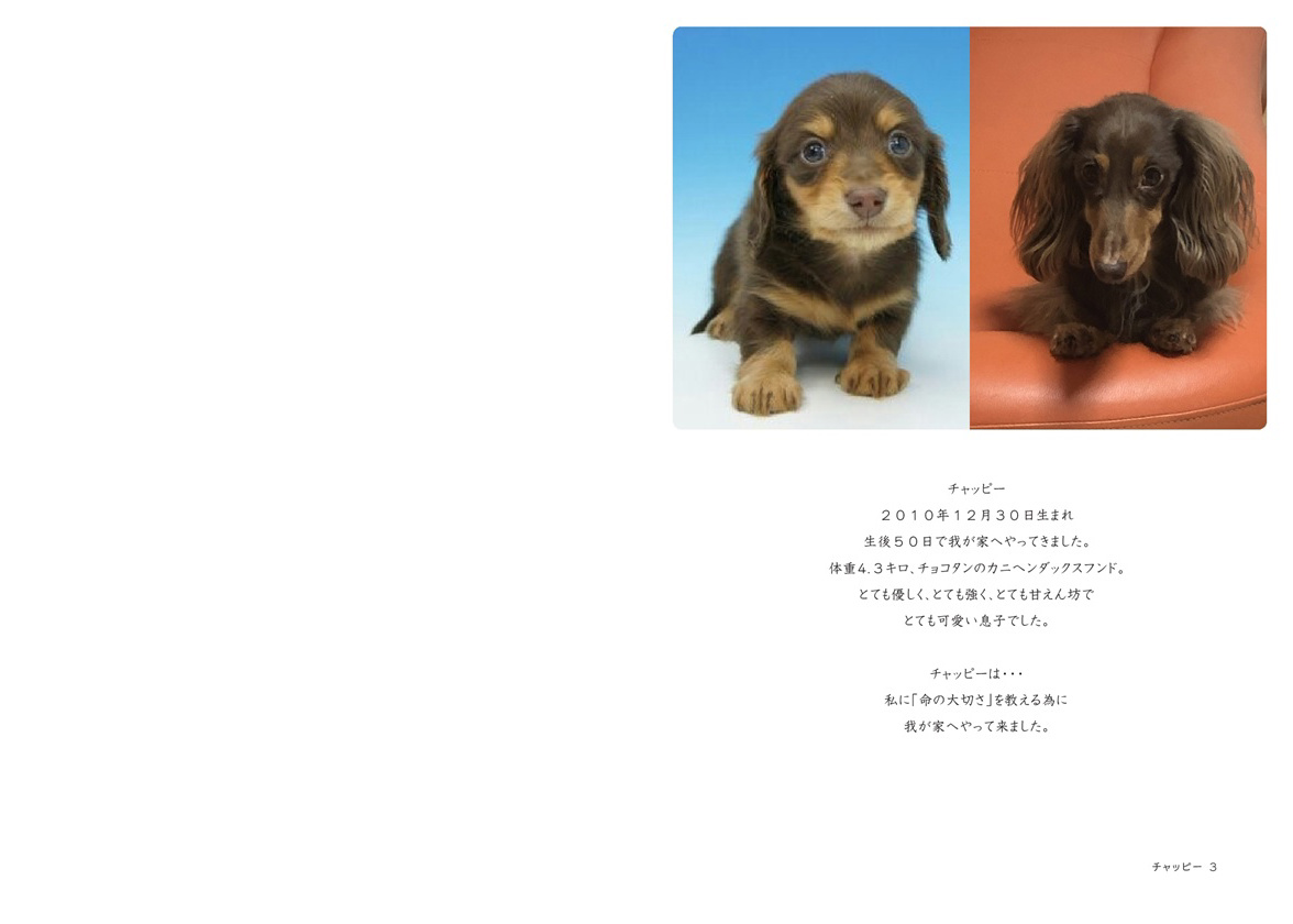 フォトブック 2ページ目
