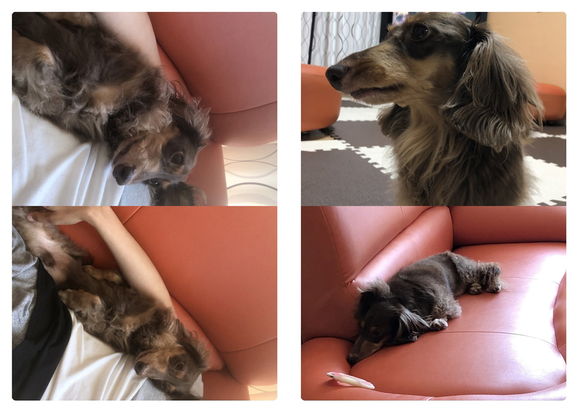 フォトブック 52ページ目