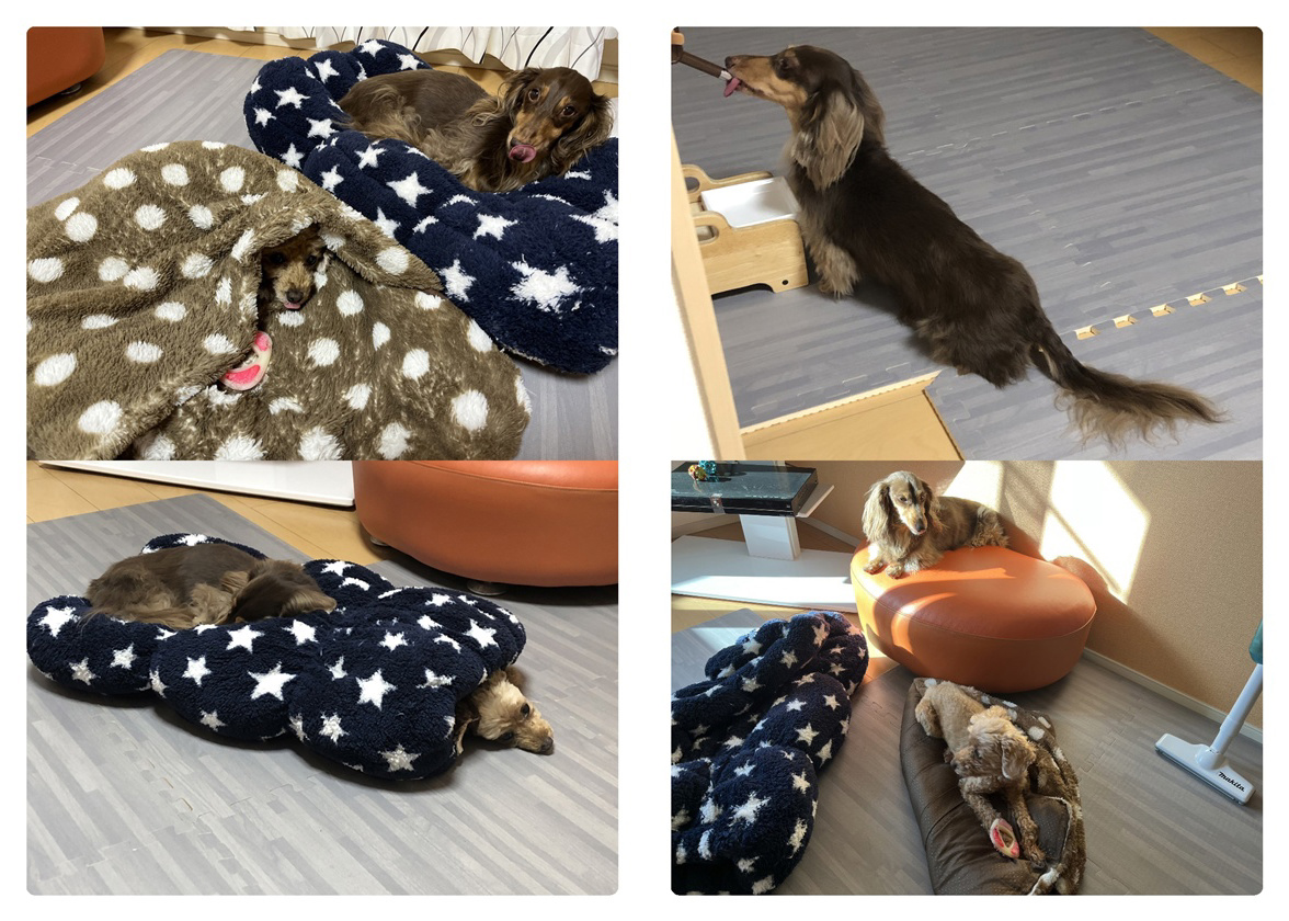 フォトブック 88ページ目