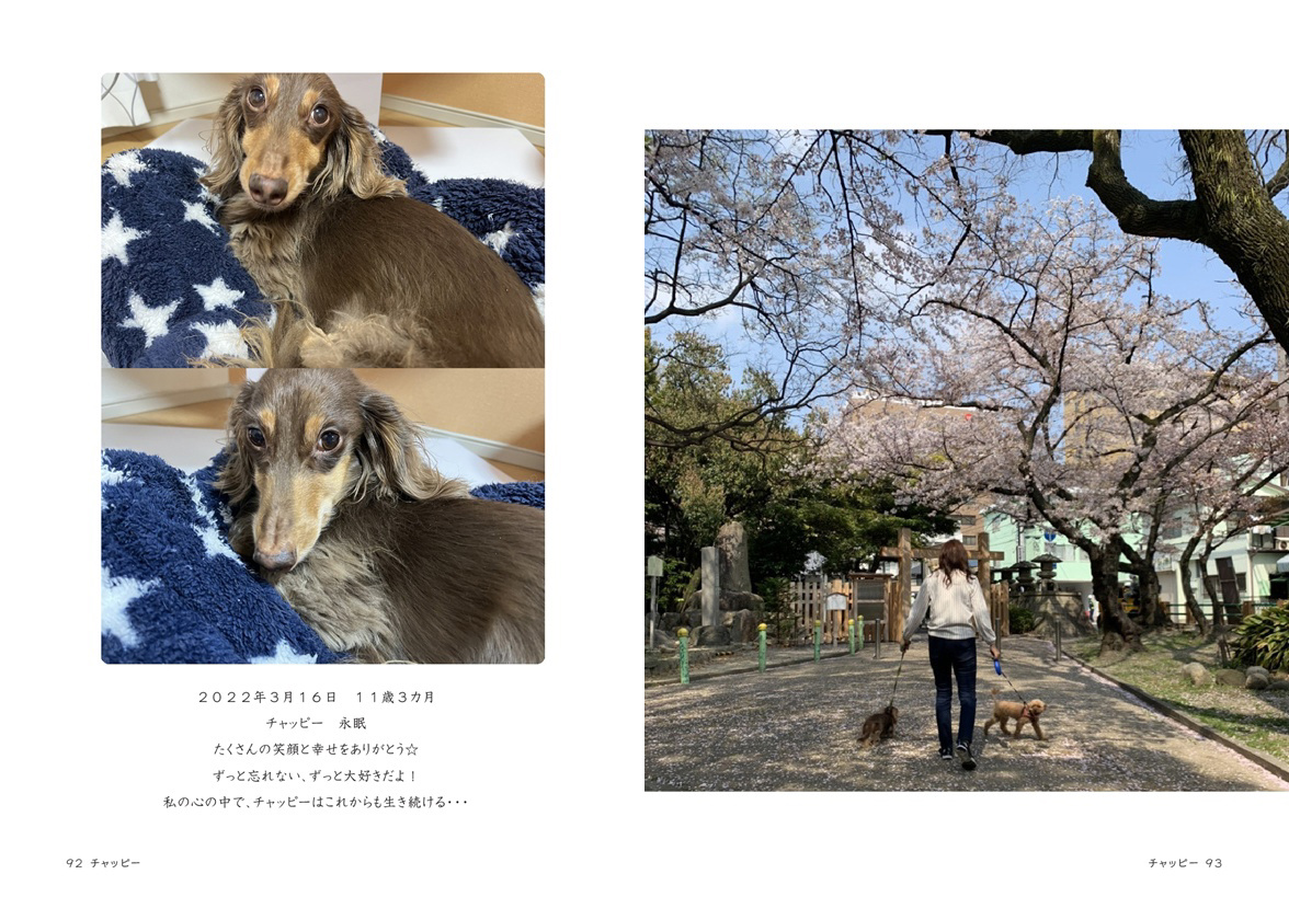 フォトブック 92ページ目