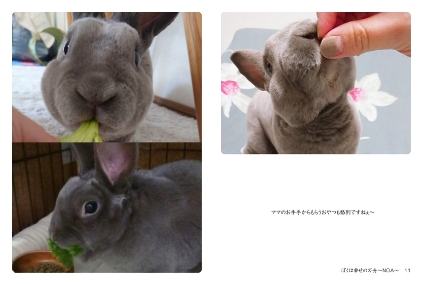 フォトブック 10ページ目