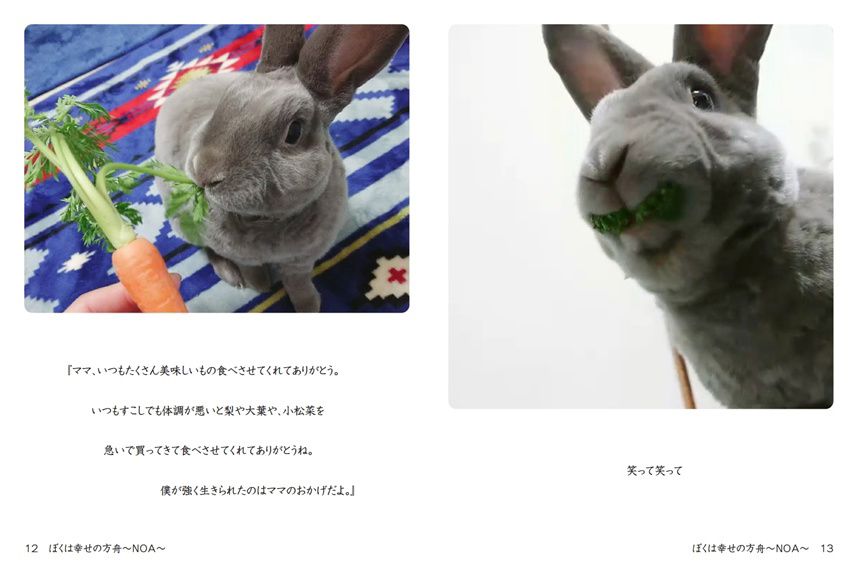 フォトブック 12ページ目