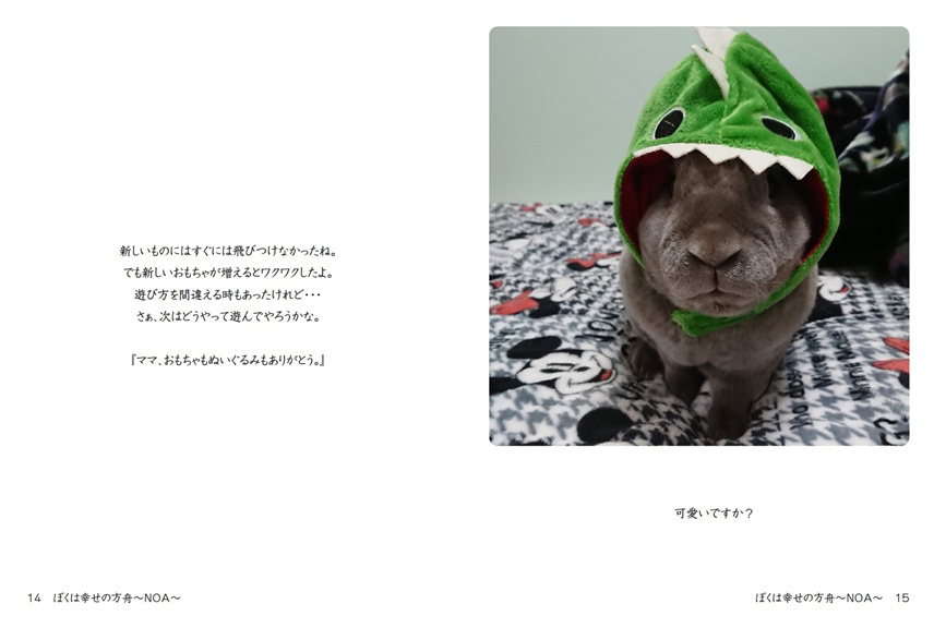 フォトブック 14ページ目