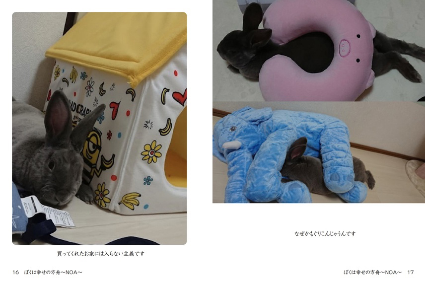 フォトブック 16ページ目