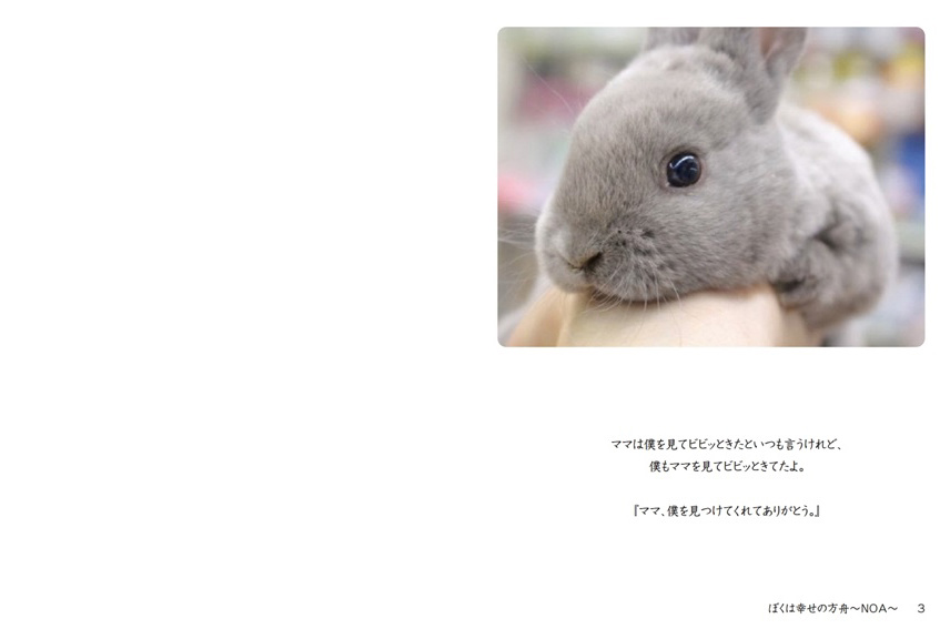 フォトブック 2ページ目