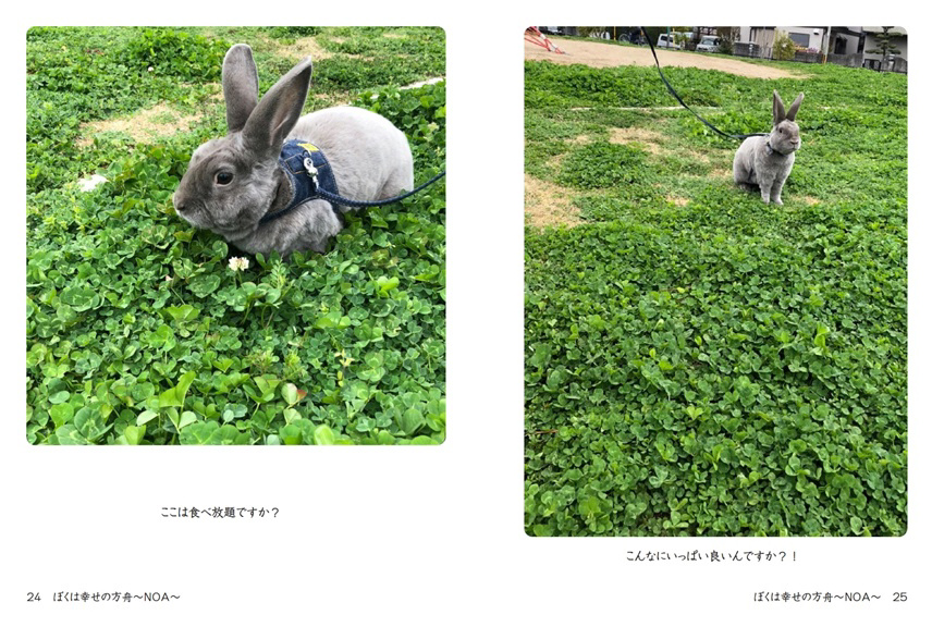 フォトブック 24ページ目