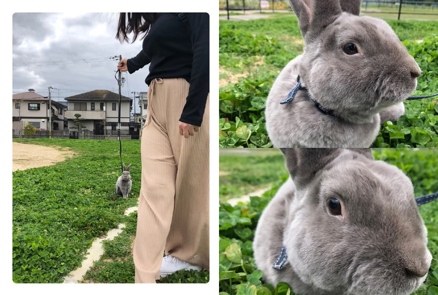 フォトブック 26ページ目