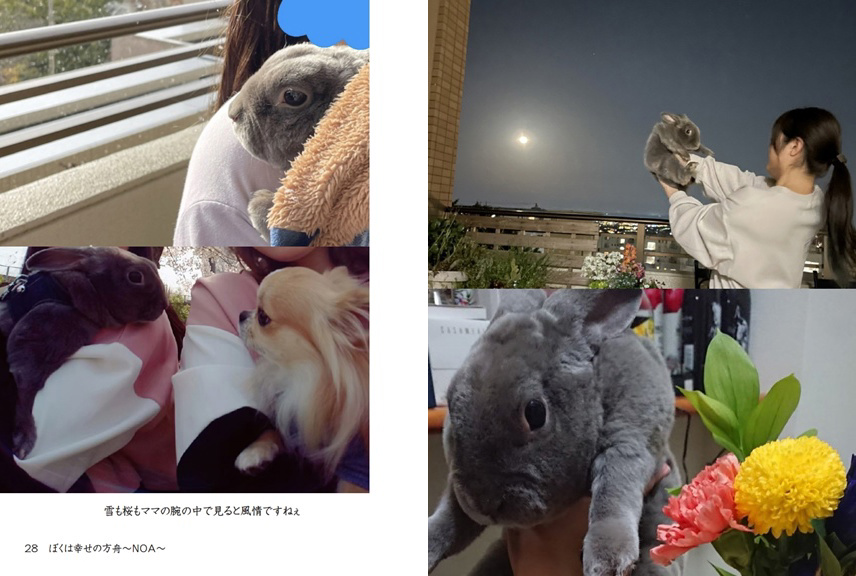フォトブック 28ページ目