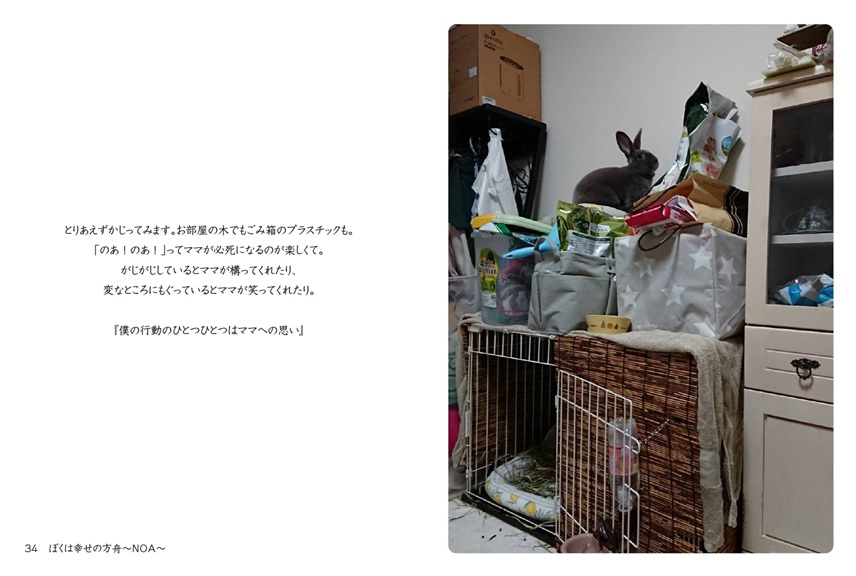 フォトブック 34ページ目