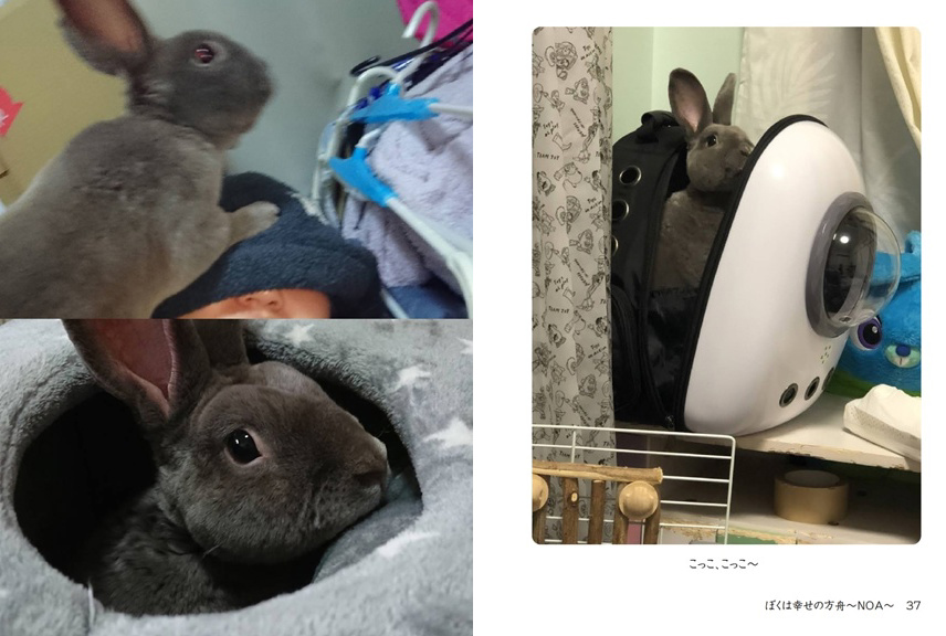 フォトブック 36ページ目