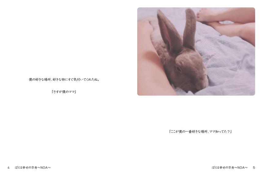 フォトブック 4ページ目