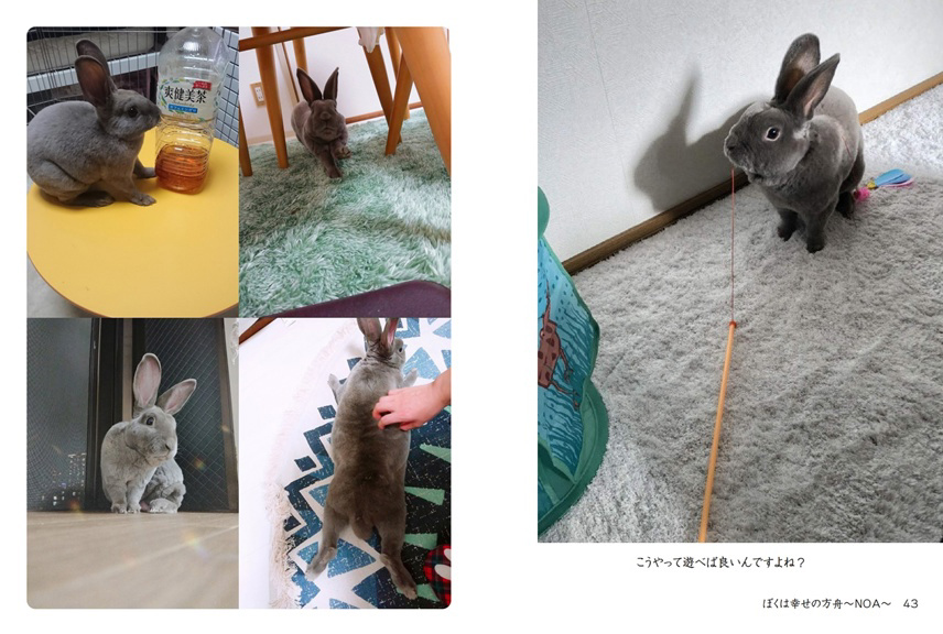 フォトブック 42ページ目