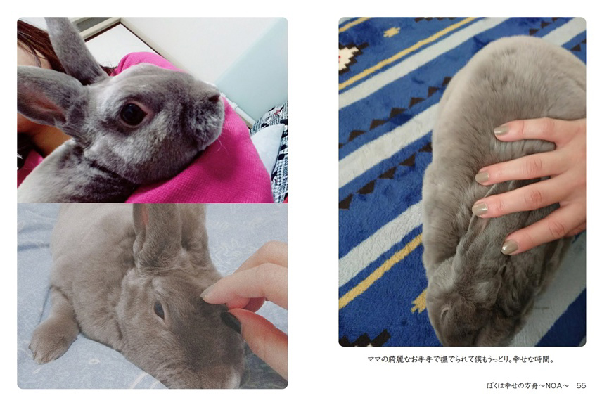 フォトブック 54ページ目