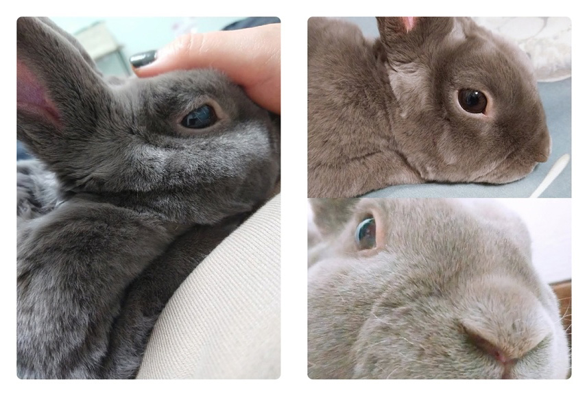フォトブック 56ページ目