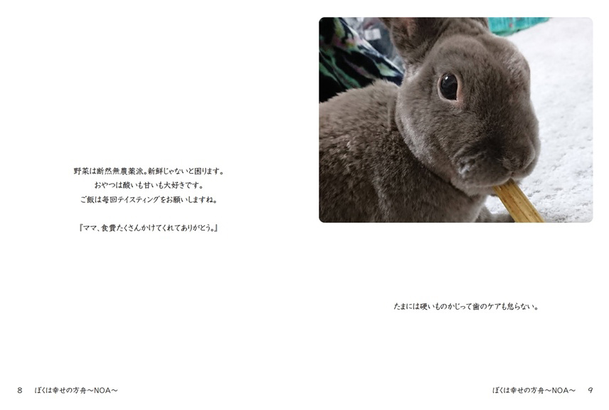 フォトブック 8ページ目