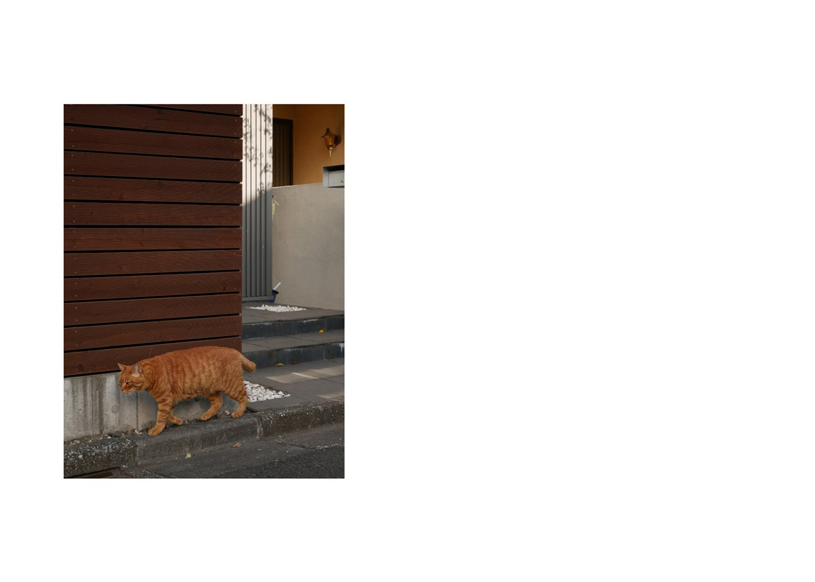 フォトブック 22ページ目
